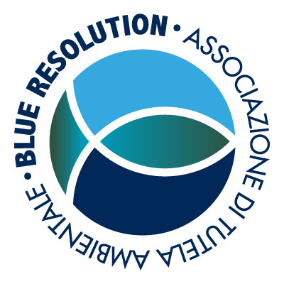 logo-blueresolution